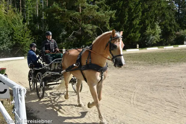 Foto: Gerald Dreisiebner