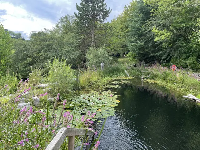 Gartenanlage mit Teich