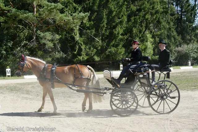 Foto: Gerald Dreisiebner