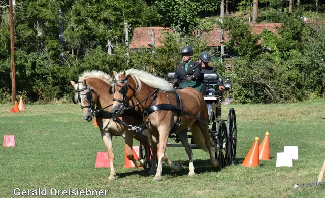 Foto: Gerald Dreisiebner