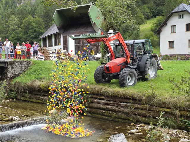 Für die Plastikenten ging es kopfüber in den Mendlingbach | Foto: Gerald Bachner