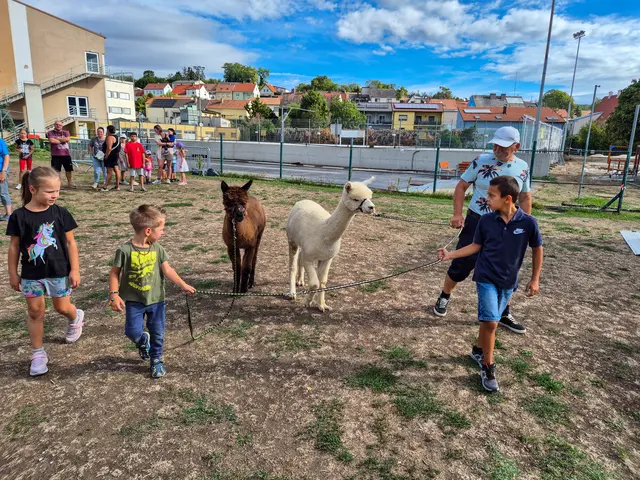 Die Kinder waren ganz begeistert von den herzigen Vierbeinern. | Foto: Gemeinde