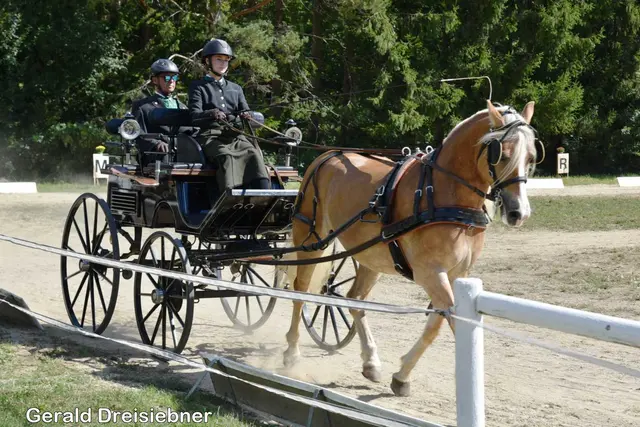 Foto: Gerald Dreisiebner