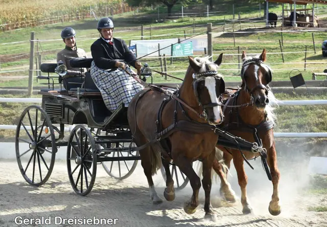 Foto: Gerald Dreisiebner