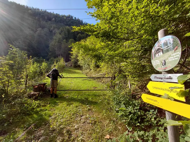 Zuerst noch gemütlich.... | Foto: H.Bachinger