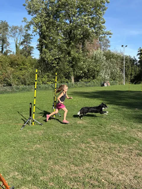 Den Slalom absolvierten Johanna Schmid und ihre Faime gewohnt schnell und fehlerfrei. | Foto: SVÖ Groß Siegharts