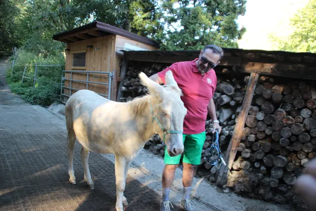 Auch Besitzer und „Vaterfreund“ Elmar Michael konnte seinen Julius nicht zum Schützenmarsch motivieren. | Foto: Jordan