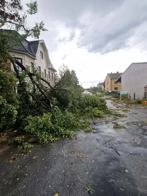 Klimakrise: Unwetter und Dürre fordern die Landwirte - und die Regierung. | Foto: FF Petronell-Carnuntum
