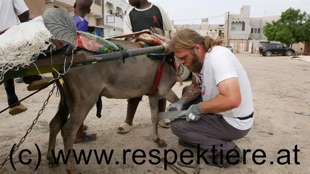 Foto: Verein RespekTiere