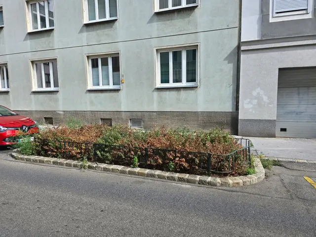 Am Standort soll bei der nächsten Pflanzperiode im Herbst erneut ein junger Baum gesetzt werden.  | Foto: Ipirotis/MeinBezirk