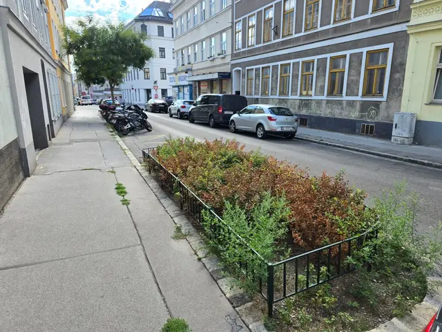 Der 2020 gepflanzte Baum musste kürzlich wegen fehlender Sicherheit entfernt werden.  | Foto: Ipirotis/MeinBezirk