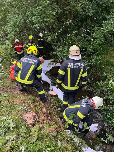 Foto: FF Freinberg