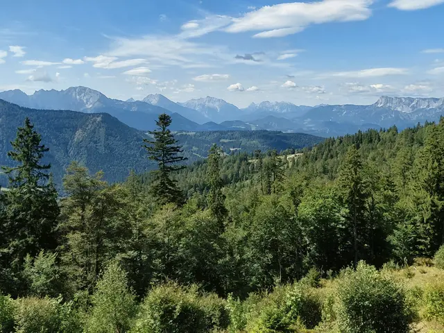 Herrliches Bergpanorama,  u.a. Untersberg,  Watzmann, Schlenken,... | Foto: H.Bachinger