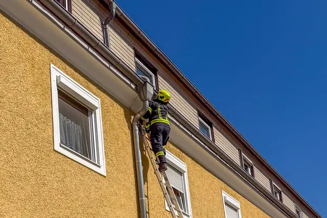 Mit einer zweiteiligen Schiebeleiter wurde das Tier dazu bewegt, auf einDachfenster zu springen | Foto: Fotokerschi/FF Lenzing