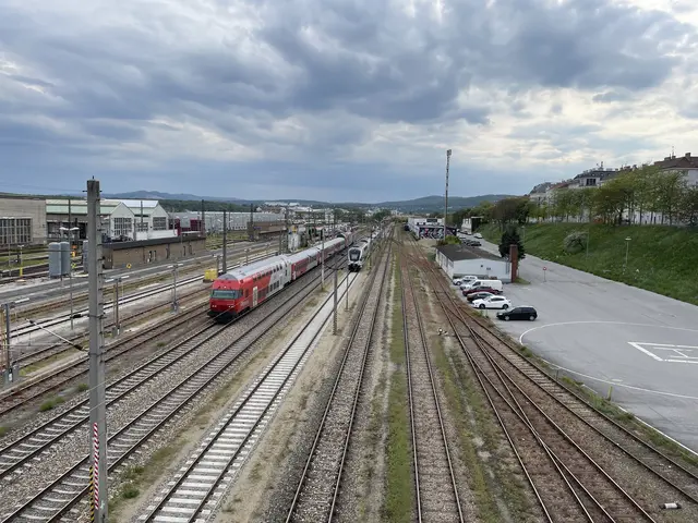 Die grünen Böschungen werden teilweise erhalten, hieß es von der Stadt. | Foto: Patricia Hillinger
