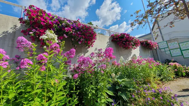 Foto: Gemeinde Strallegg