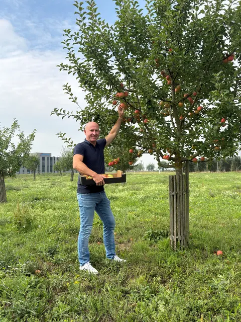 Heuer können auf der Streuobstwiese viele Äpfel geerntet werden. | Foto: Marktgemeinde Feldkirchen
