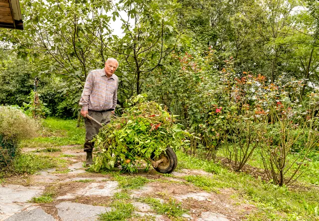Die nächsten Wochen eignen sich gut, um im Garten Stauden zurückzuschneiden oder neue Obstbäume zu setzen. | Foto: Smarterpix/elesi