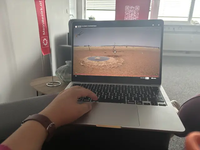 Ob in der Mittagspause oder zuhause, Live-Webcams gibt es unzählige und für jeden Geschmack ist etwas dabei.  | Foto: sabrina moriggl 