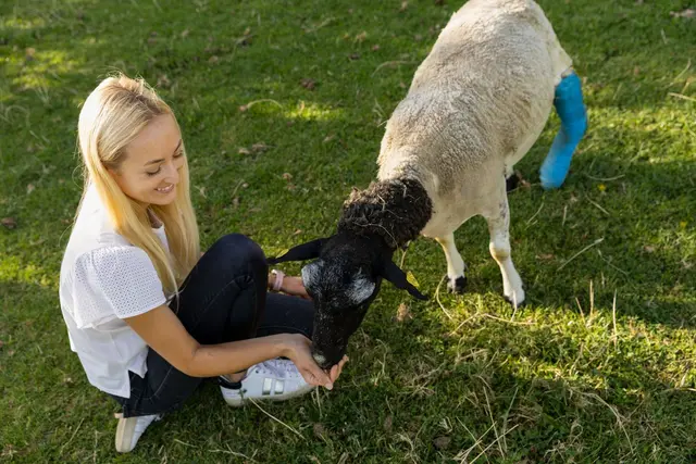 Schaf Patricia bekommt eine zweite Chance auf Gut Aiderbichl in Henndorf. | Foto: Gut Aiderbichl