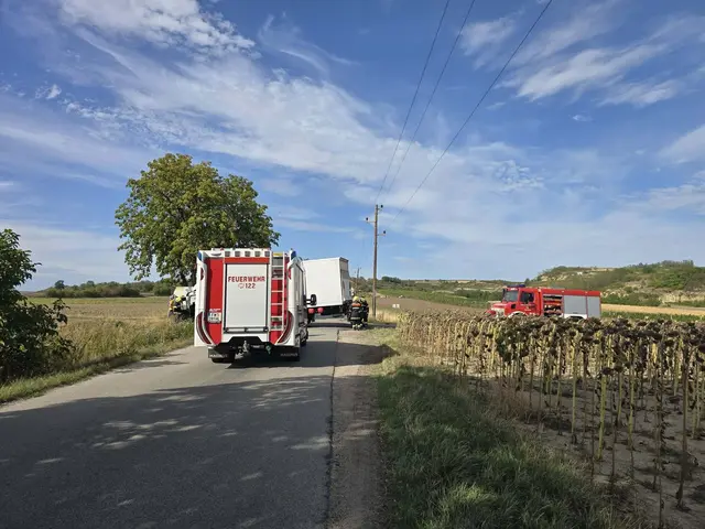 Der Lkw war im Graben hängen geblieben und konnte nicht mehr aus eigener Kraft weiterfahren. | Foto: FF Auggenthal