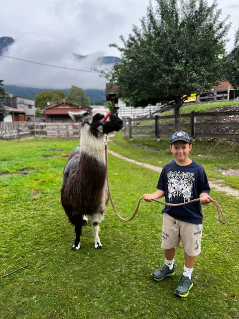 Beim gemeinsamen Spaziergang ging es darum, sich 
kennenzulernen, Vertrauen aufzubauen und 
aufeinander zu achten. | Foto: Gemeinde Radfeld 