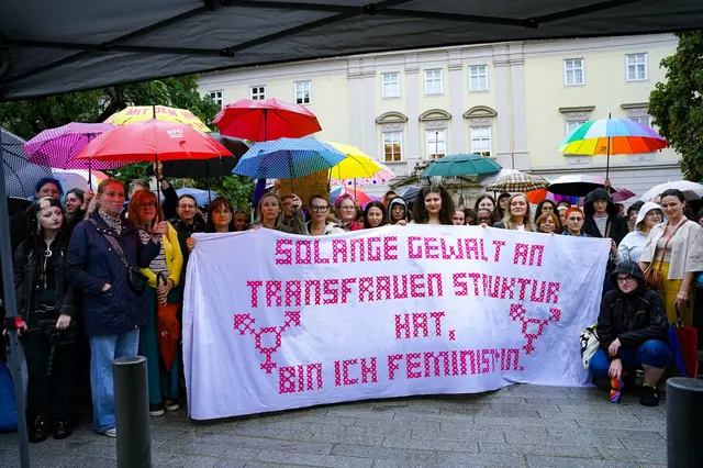 Trotz strömendem Regen versammelten sich gestern zahlreiche Menschen vor dem Linzer Landhaus. | Foto: Wenger/privat