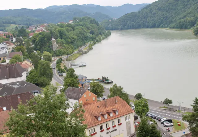 Blick auf Rathaus und Donau in Grein. Archivbild | Foto: MeinBezirk Perg