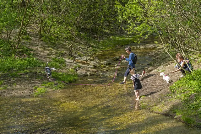 Foto: MA45/Wiener Wildnis