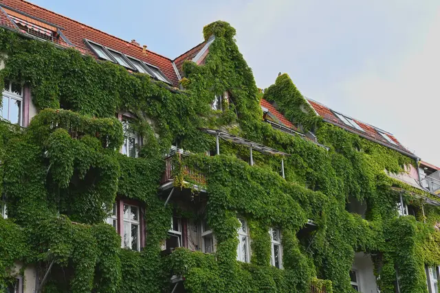 Damit aus kleinen Mängeln keine großen Kosten werden: Wartung, Sanierung und Gebäudetechnik immer im Blick behalten. | Foto: Pexels (Symbolbild)