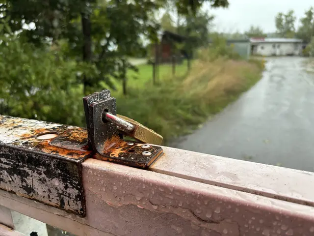 Von der Landesstraße gelangte man früher ins Strandbad Schaffler. Um zum See zu gelangen, muss man über Privatgrundstücke. | Foto: MeinBezirk.at/Stephan Fugger