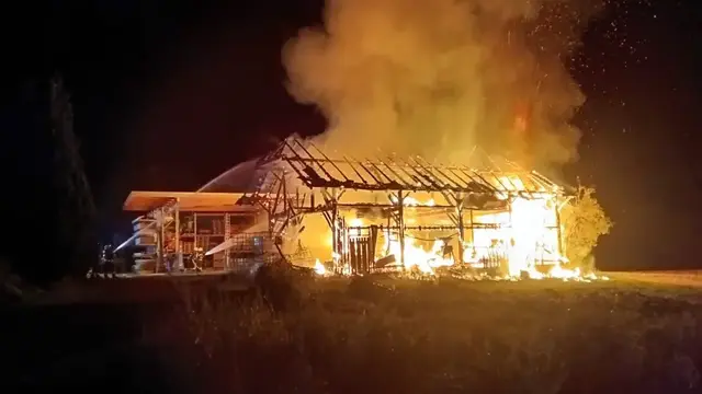 Foto: FF Schönau im Mühlkreis