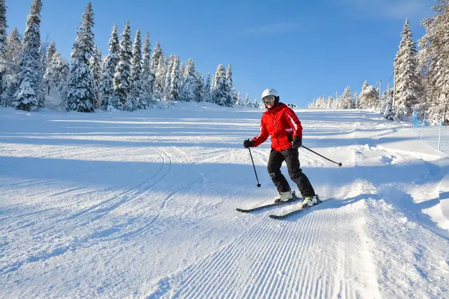 In vier Kärntner Skigebieten werden heuer für ein Tagesticket eines Erwachsenen 73 Euro verlangt. (Symbolfoto) | Foto: stock.adobe.com/at/citikka 