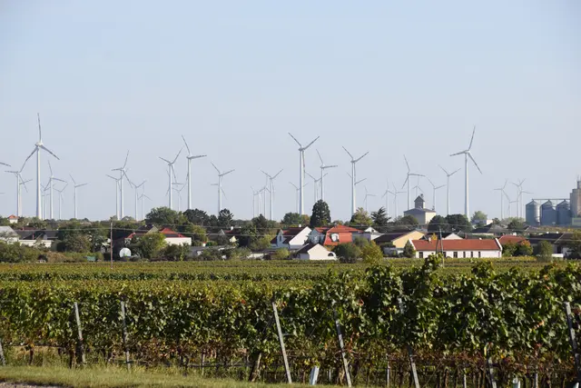 In der Gemeinde Halbturn entsteht in den nächsten Jahren viel neuer Wohnraum. | Foto: Erwin Hartmann
