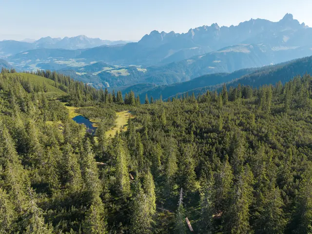 Die wunderschöne Moorlandschaft rund um den Gerzkopf. | Foto: ÖBF/Wolfgang Lienbacher
