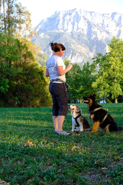 Foto: Alltagspfote