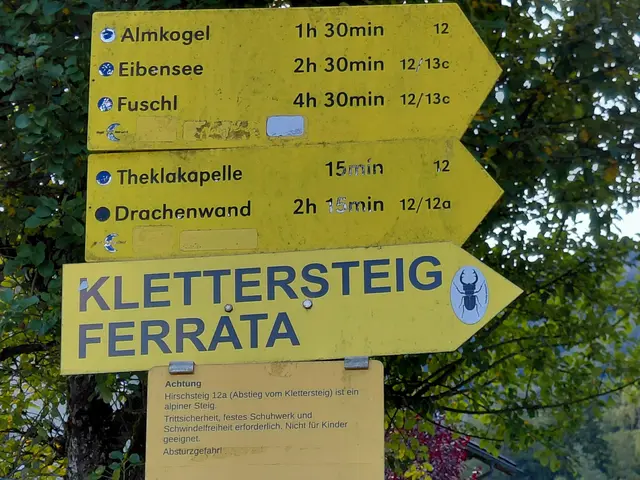 Ab hier geht's immer steiler werdend bis zum Gipfelkreuz  | Foto: H.Bachinger