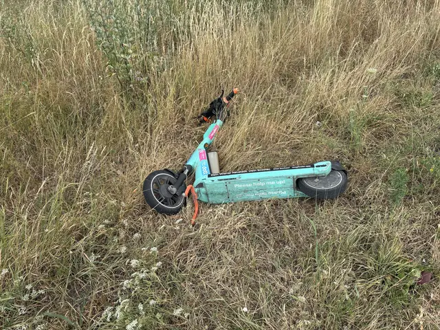 Sturz während der Talfahrt: Vermutlich durch ein Verreißen des Lenkers verloren die Burschen die Kontrolle über den E-Scooter. (Symbolbild) | Foto: Schauer
