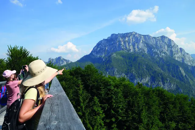 Der verletzte Kletterer wurde nach einem Steinschlag am Traunstein per Notarzthubschrauber aus der Felswand gerettet. | Foto: Traunsee Touristik GmbH