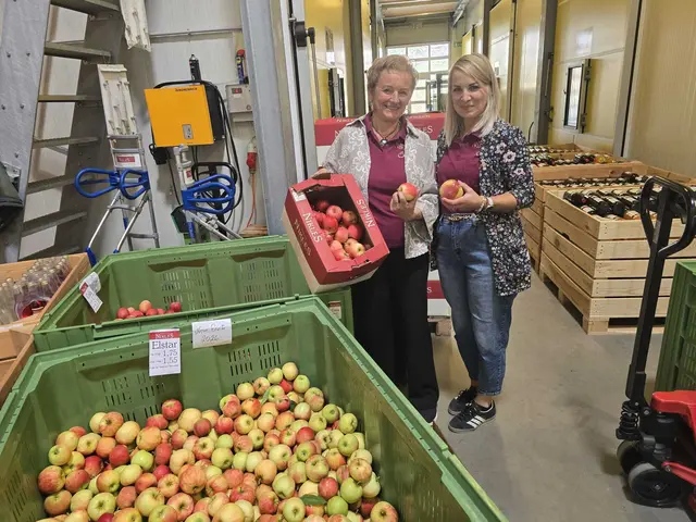 Helene Nikles (li.): "Die Äpfel sind klein, aber geschmacklich gut". | Foto: Peter Sattler