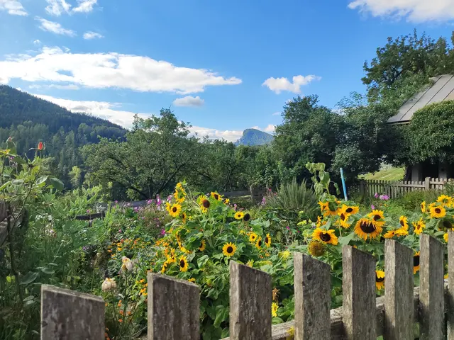 ein schöner Bauerngarten
