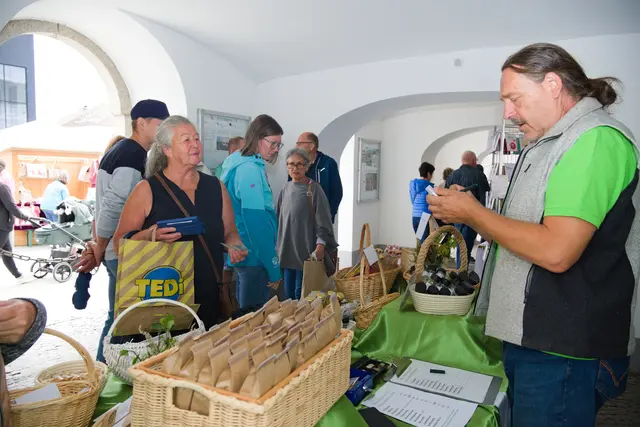 Foto: Alfred Hofer