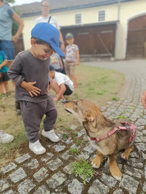 Foto: OÖG