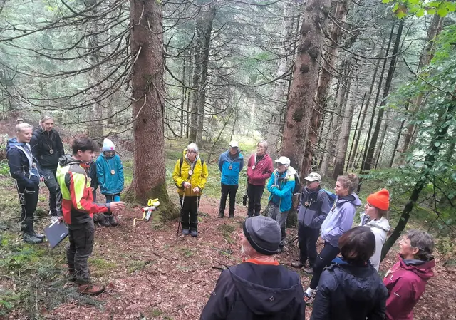 Informative Führung im St. Johanner Wald. | Foto: ÖBf