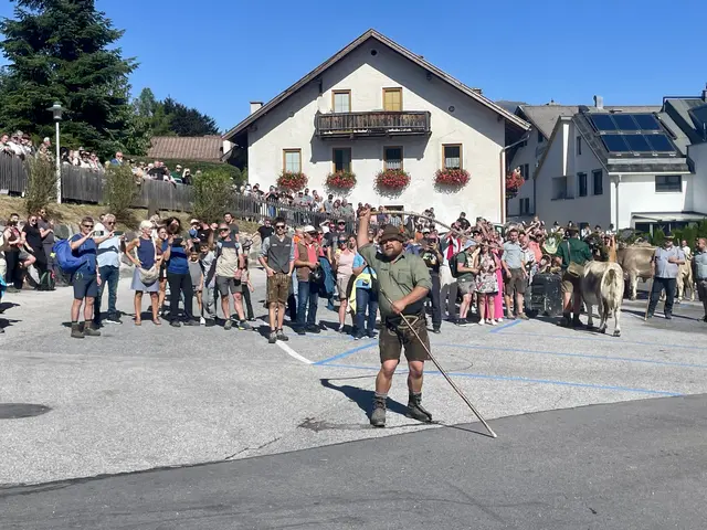 Daniel Leitgeb sorgte beim Eintreffen des Almviehs durch gekonntes „Goaßlschnalzen“ für Aufmerksamkeit und Platz.  | Foto: Mair