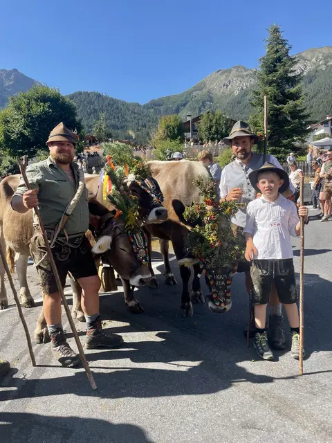 Die Kühe von der Pfarrachalm und der Schlickeralm kehrten am Samstag zurück nach Telfes.  | Foto: Mair
