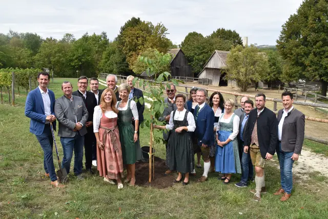 Die Bürgermeisterinnen und Bürgermeister der Region setzten den symbolischen Nussbaum.  | Foto: Claudia Bräuer