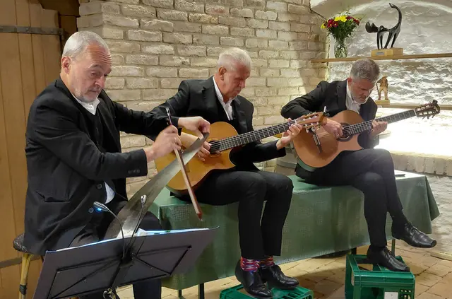 Stefan Slupetzky, Martin Zrost und Michael Kunz gingen musikalisch lepschi. | Foto: Kellergassenverein