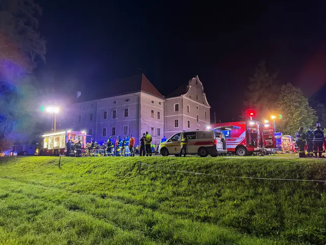 Foto: FF-Mautern/Riemelmoser