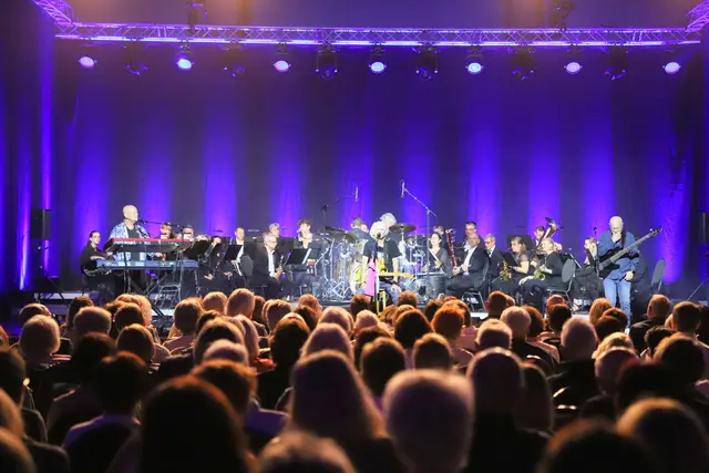 Zahlreiche Besucher ließen sich das Konzert nicht entgehen. | Foto: Leibetseder